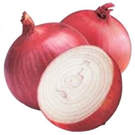 Onion 1 Kg